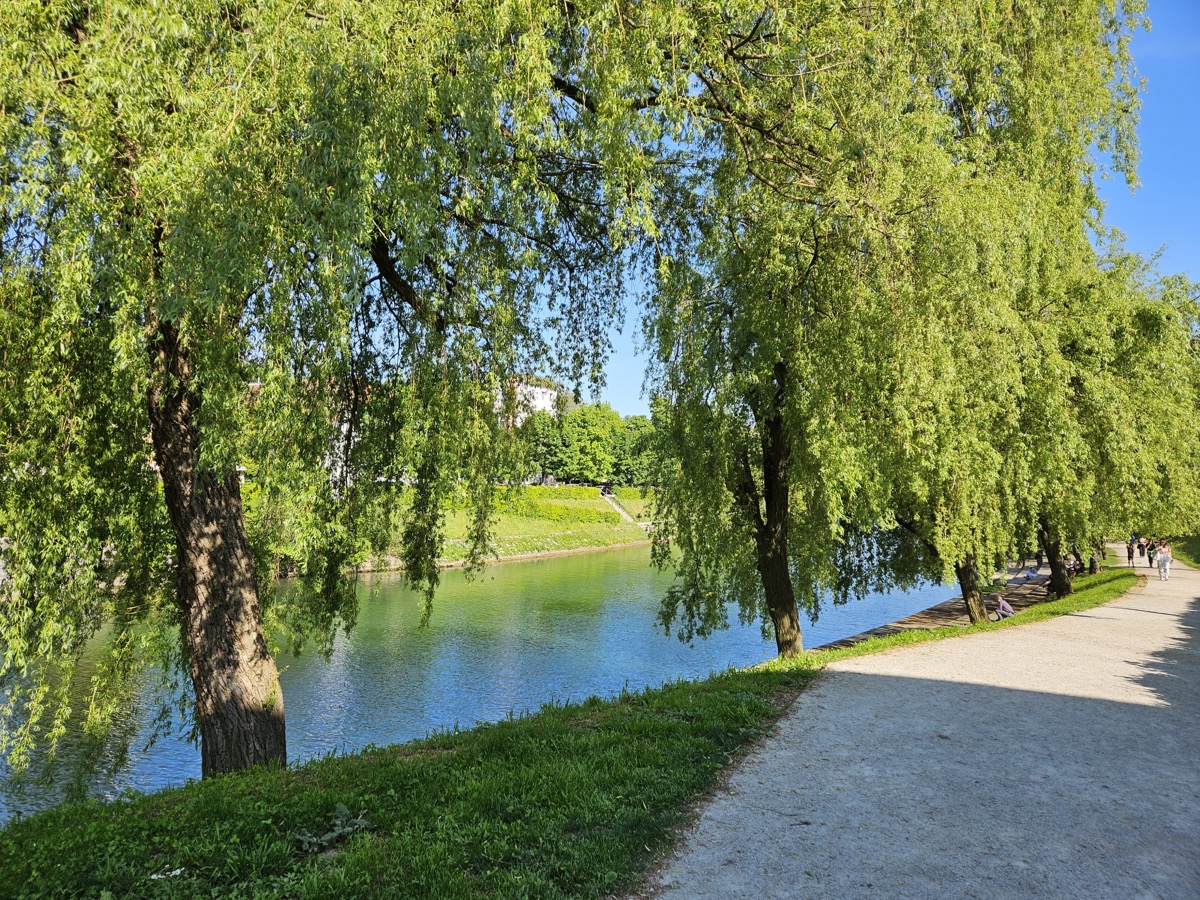 Ljubljanica